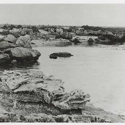 Selected photos taken by Henry Hammond Tilbrook