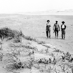 View of Ocean beach on Younghusband Peninsula, The Coorong