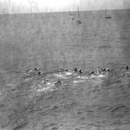 Swimmers in the sea during an event from Henley to Grange jetties