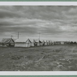Photos from a report on the reconstruction of the East West Telegraph Line
