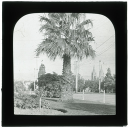 Development of Adelaide 1839-1914: series of lantern slides.