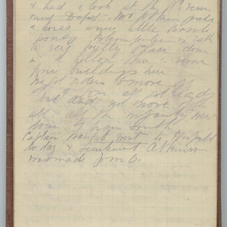 Diary of Trooper Miles Fletcher Swan
