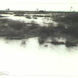 Birdsville Track