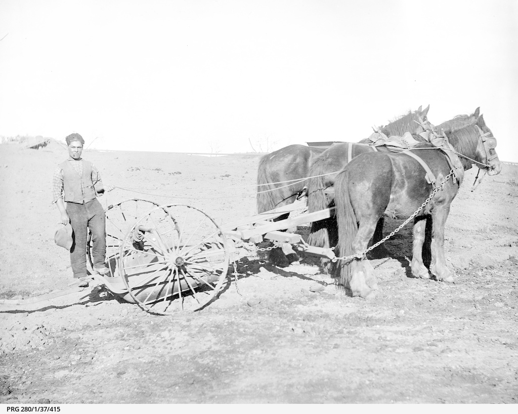 Horse drawn scoop used at Tod River reservoir • Photograph • State