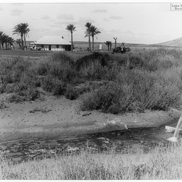 Lake Harry Station