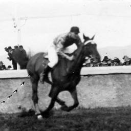 Steeplechase at Balaklava races, South Australia