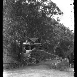 Collection of photographs taken around Adelaide by Theo Bachmann