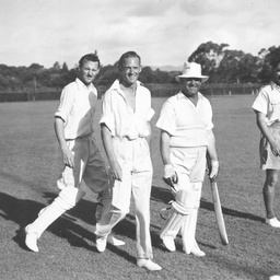 Parliament vs Press cricket match