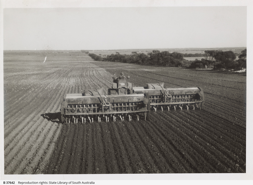 Seed Drill • Photograph • State Library of South Australia