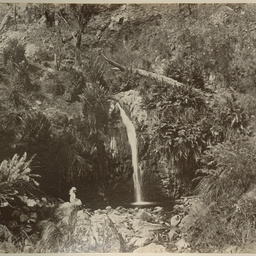 Adelaide and the Adelaide Hills: album of views