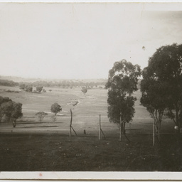 Colin James Ellis, World War II photograph album, Darwin.