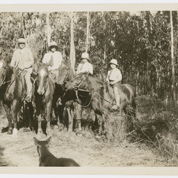 Mount William Station, Victoria