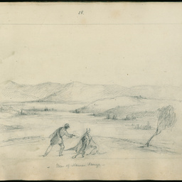 Drawings from the Frome expedition