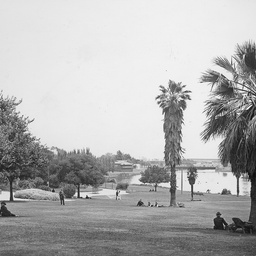 Elder Park