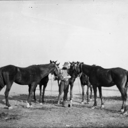 Man and horses.