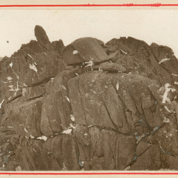 Logan Rock