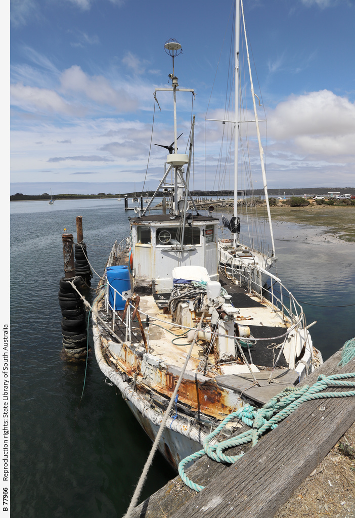 Sir Wallace Bruce at American River, Kangaroo Island • Photograph