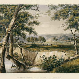 The City of Adelaide, from the Torrens near the Reed Beds