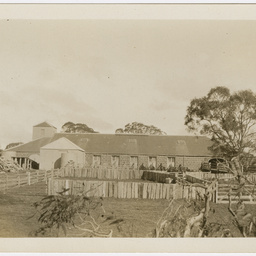 Mount William Station, Victoria