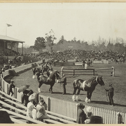 Photographs of Adelaide scenes