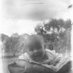 Young child in garden