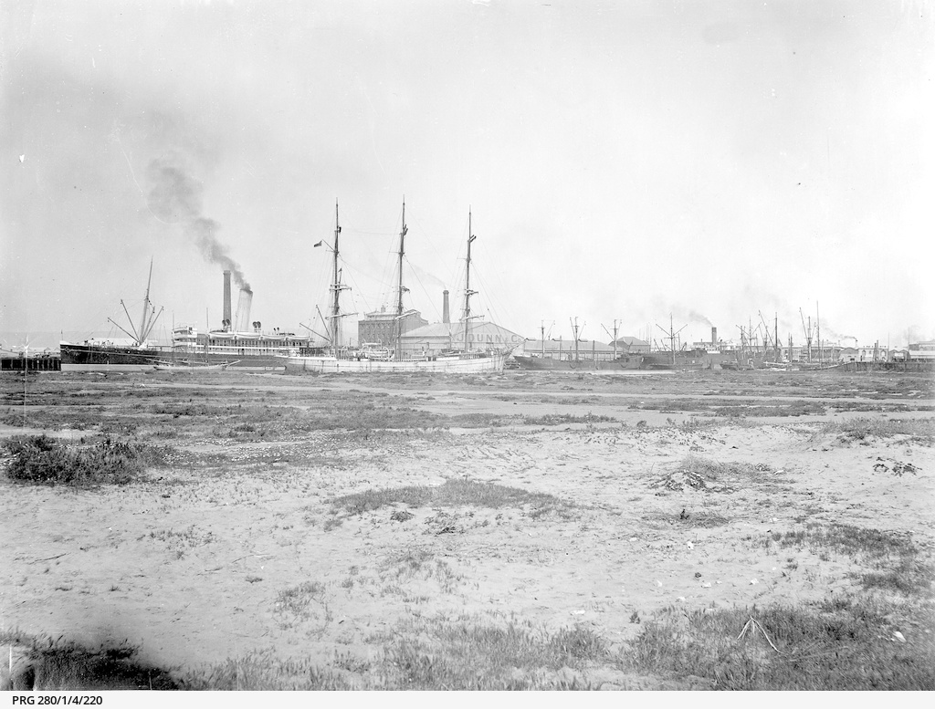 Ocean steamers at Port Adelaide • Photograph • State Library of South
