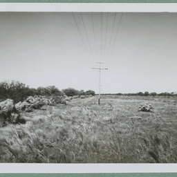 Photos from a report on the reconstruction of the East West Telegraph Line