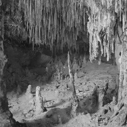 Naracoorte Caves