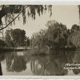 Colin James Ellis, World War II photograph album, Darwin.