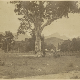 Album containing views of the Flinders Ranges and adjacent country areas
