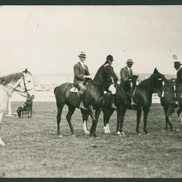 Judging horses at the Royal Adelaide Show