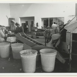 Adelaide Milk Supply