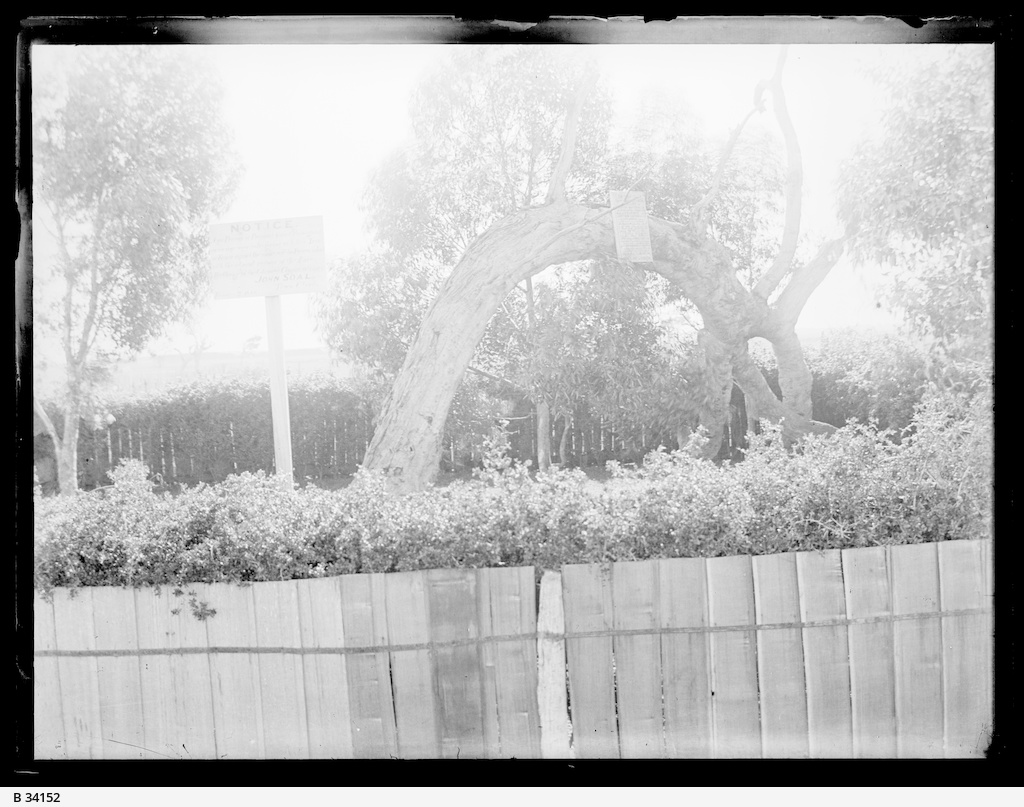 Glenelg • Photograph • State Library of South Australia