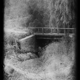 Collection of photographs taken around Adelaide by Theo Bachmann