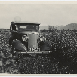 Scenes of South Australia