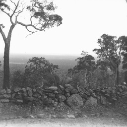 Rural scene