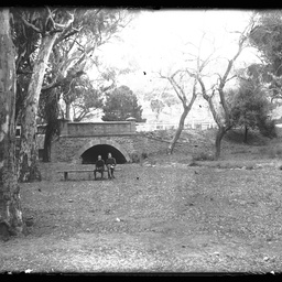 Collection of photographs taken around Adelaide by Theo Bachmann