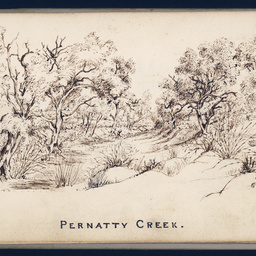 Sketches by Babbage : Pernatty Creek