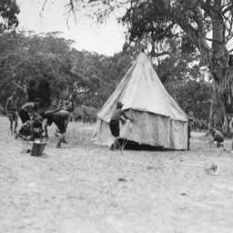 Scouts erecting a tent