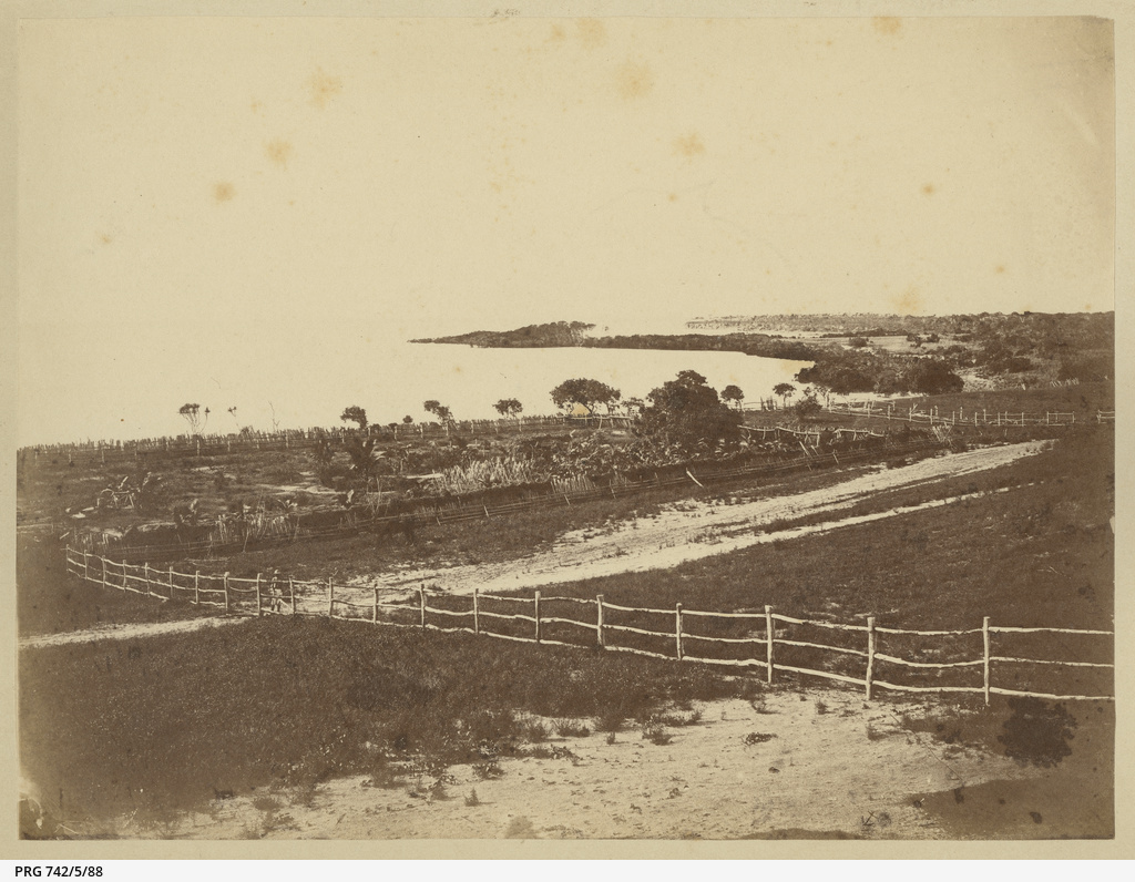 Sweers Island • Photograph • State Library of South Australia