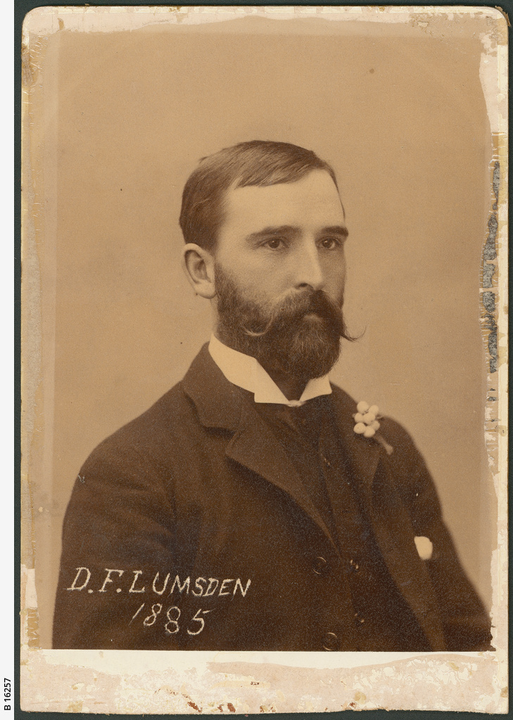 D. F. Lumsden • Photograph • State Library of South Australia