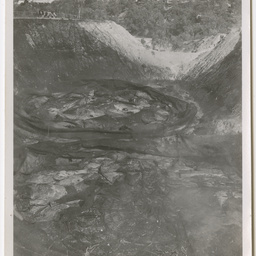 Colin James Ellis, World War II photograph album, Darwin.