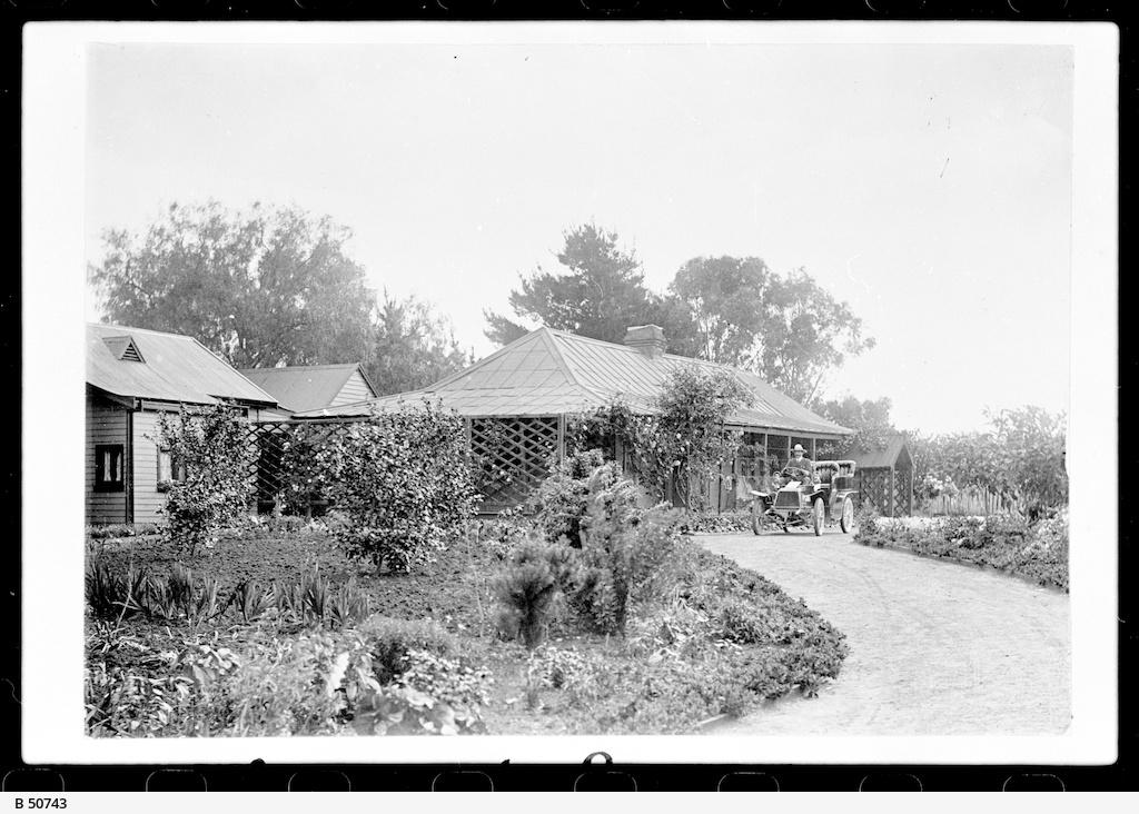 Penola Station, Penola • Photograph • State Library of South Australia