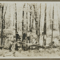 Unidentified scene