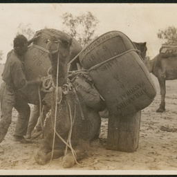 Loading Arrabury wool