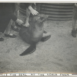 Scenes of South Australia