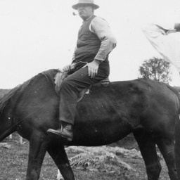 Man sitting on a horse