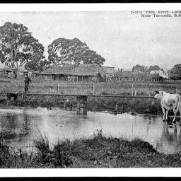 North Para River, Tanunda