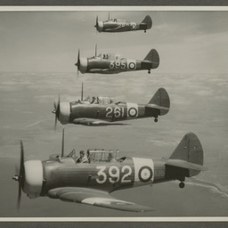 CA-8 A20 CAC Wirraway formation.