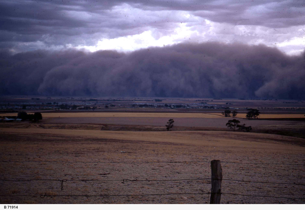 Dust storm • Photograph • State Library of South Australia